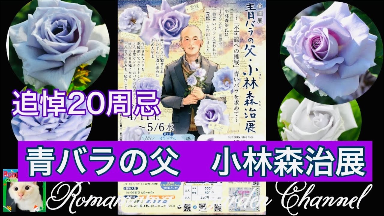 Blue Rose] Announcement of the exhibition of Shinji Kobayashi, the