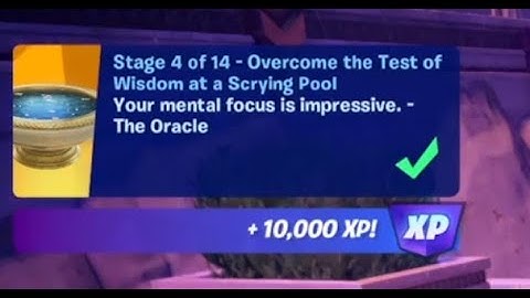 Fortnite - Overcome the Test of Wisdom at a Scrying Pool - Chapter 5 Season 2