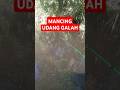 SPOT Mancing udang galah DI TERENTANG KALBAR