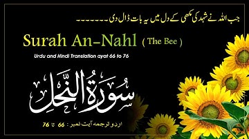 16 Surah An Nahl (The Bee) Urdu Translation ayat 66 to 76 | سورة النحل | #urduquran #surahalnahl