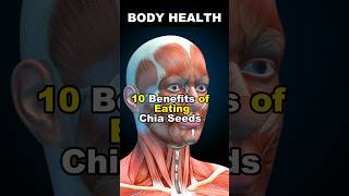 What Happens To Your Body When You Start Eating Chia Seeds shorts fitness food health