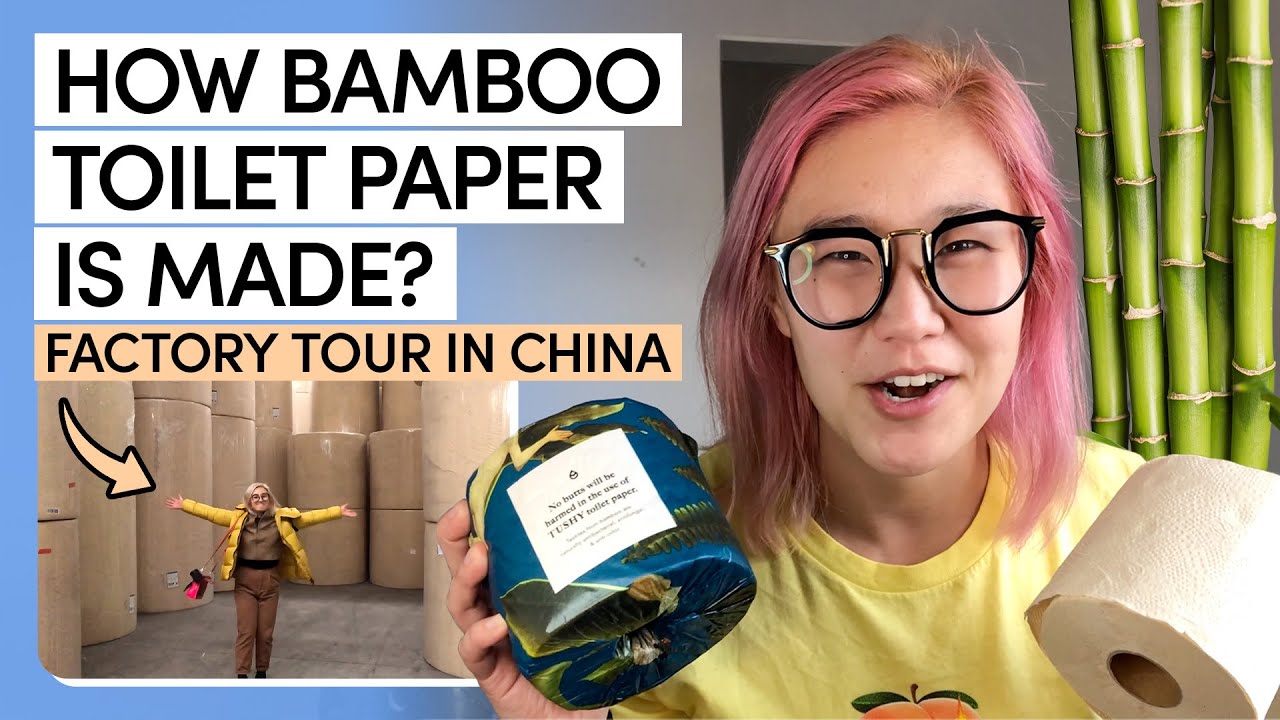 How TUSHY Bamboo Toilet Paper is Made (Chengdu Factory Tour)