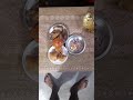 Evening Tiffin Samosa, Deep Fried Momos, Vegetables Salad And Momos Chutney