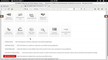Webmin DNS