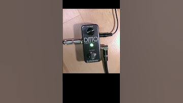#Ditto #Looper #demo