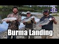 Coho Fishing Little Su Alaska - August Silver Salmon 2020