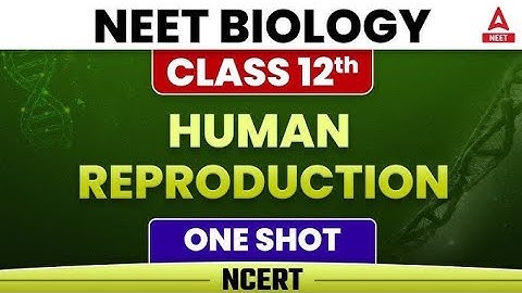 | HUMAN REPRODUCTION | in just 10 mins |Fastest revision , NEET 2025 