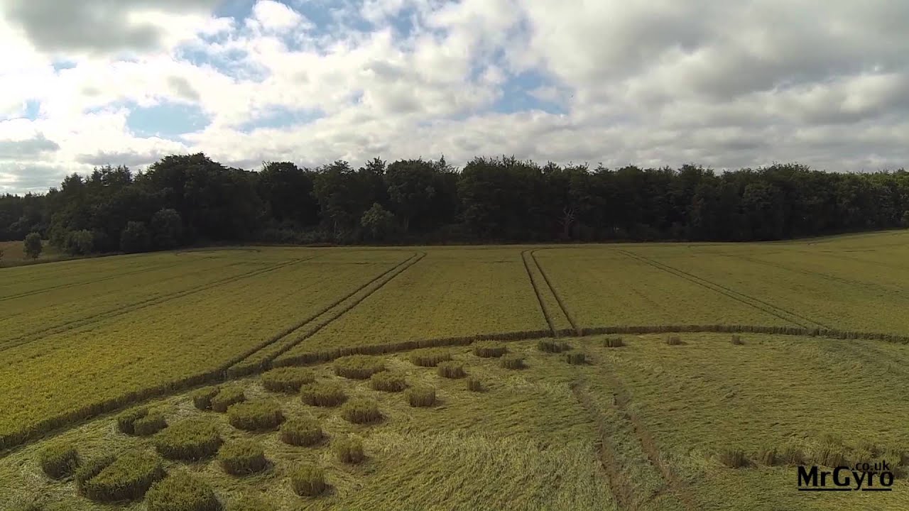 Un crop circle avisó del atentado contra el avión MH17 un día antes