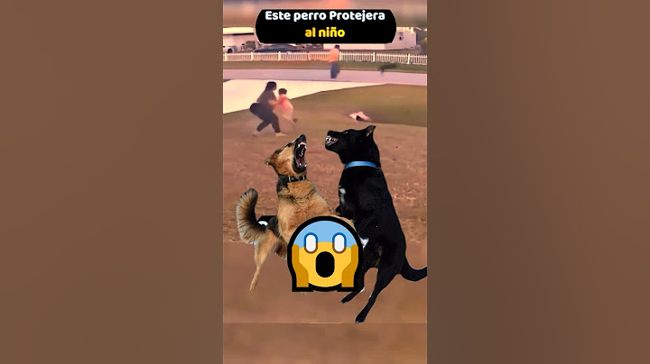 Perro🐕 PROTEJE🦸‍♂️ niño👦| el PEQUEÑO (es salvado por su MASCOTA)