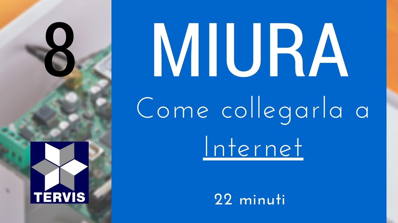 Come collegare la Nintendo DS a internet | Io Games