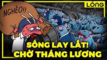 Vì sao tôi đi làm mãi mà vẫn nghèo (bản chất của tiền)