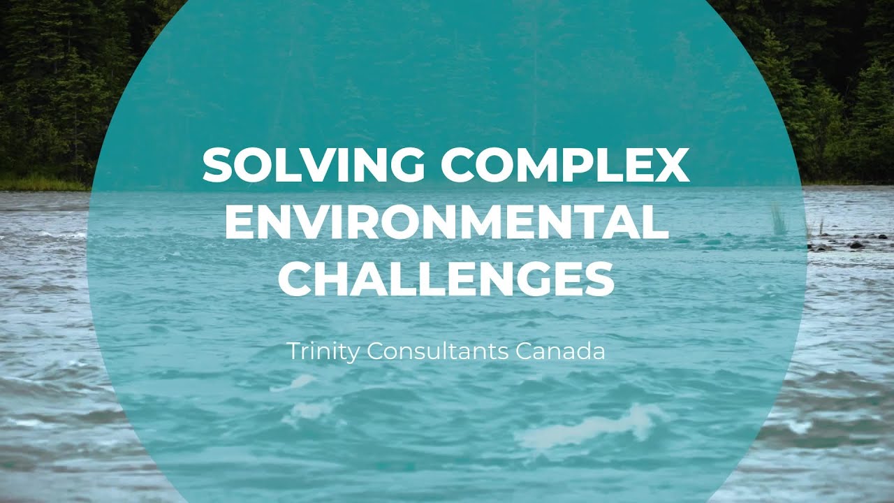Solving Complex Environmental Challenges | Trinity Consultants Canada | Tomorrow's Catch
