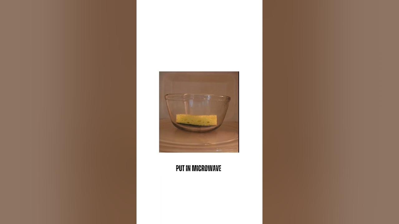 how-to-sanitize-a-kitchen-sponge-youtube