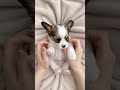 Fluffy Puppy Shorts | Softest Paws Ever 🐾🌸