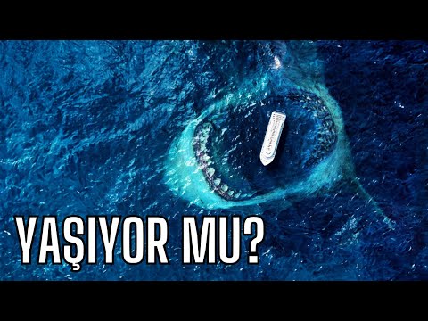 Megalodon Şu An Yaşıyor Olabilir Mi?