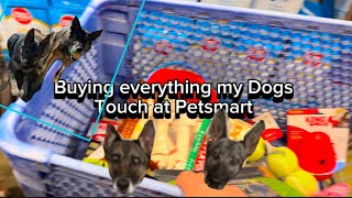 Buying everything My dogs touch