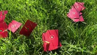 Your first turn playing Push Up Poppies (Draw - Play - Play - Draw) screenshot 5