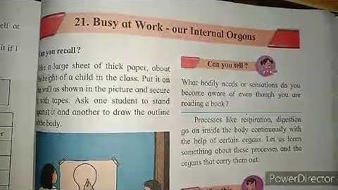 std-5th l Sub-Evs-1| 21-Busy at work- Our Internal Organs| Part-4