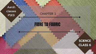 Famous Class 6 PSEB  Science - Fibre to Fabric  Chapter - 3 #Aarsh classes #educational Wealth