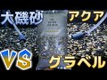 【砂利】ADAのアクアグラベルは本当に水質に影響を与えないか検証したら大磯砂が空気を読まなかった…【ふぶきテトラ】