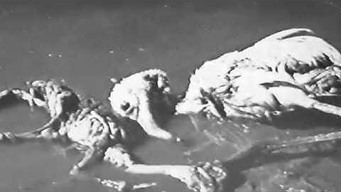 Vvltvs - inleiding  (intro)