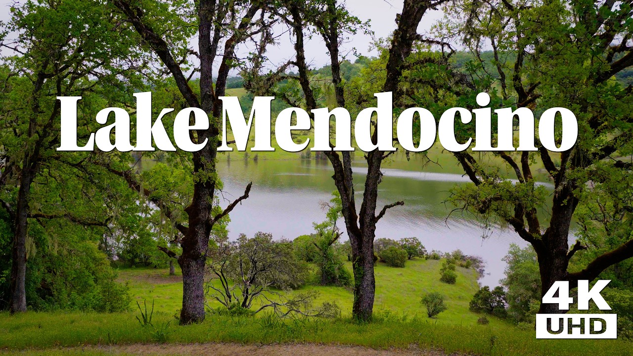 Lake Walk Through Oak Trees, Green Fields, Wild Flowers and Amazing Views - Lake Mendocino.