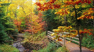 The Autumn Leaves By Nat King Cole