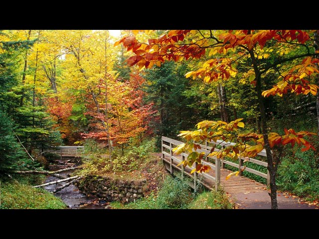 NAT KING COLE - THE AUTUMN LEAVES