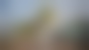 International Zouk Day flashmob 2023