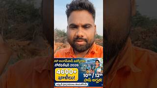 Ap Anganawadi Jobs Notification 2026