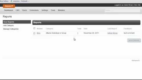 Report Item BUG - PhpFox RC 3 V.3