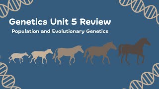 Genetics Unit 5 Review Video | Population and Evolutionary Genetics