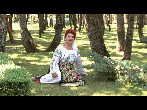 Maria Loga - Grea e viata prin straini