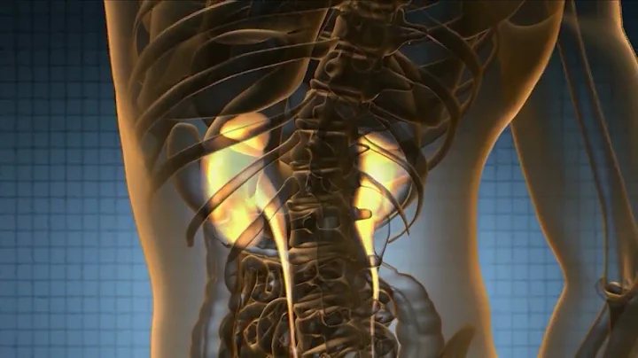 New organ donation law in Virginia; Companies required to give employees 30-60 days of unpaid time o