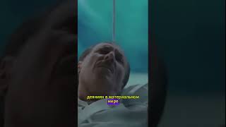 Закон, от которого не уйти
