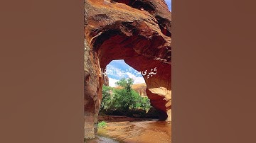 ياأيها الذين آمنوا توبوا إلى الله توبة نصوحا(تلاوة من سورة التحريم )🌺قرآن كريم 🌺القارئ ماهر المعيقلي