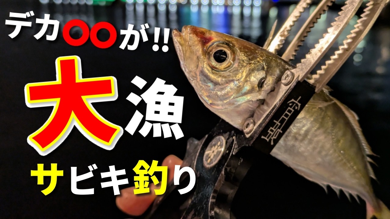 【予想外!?】アジや大型〇〇まで！冬の大都会でサビキ釣り！