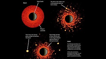 Moon Formation Simulations