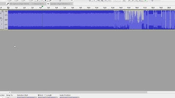 Chrome.exe Interpreted as audio data