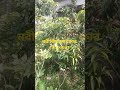 নবীজির চমৎকার কিছু কথা #amazing #history #motivation #trending #viralvideo #islamshorts