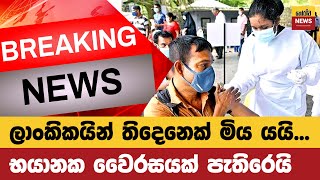 හමම දනවත වනන Sinhala News Breaking News Horawa News