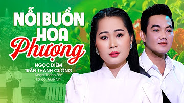 Xao xuyến bâng khuâng khi nghe bài hát này | Nỗi Buồn Hoa Phượng - Ngọc Diễm ft Trần Thanh Cường
