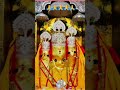 Jai Maa Baglamukhi