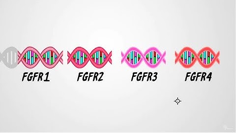 FGFR Mutations