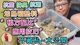 [Parrot feeding teaching] Deodorant baby bird box ~ litter ratio secret recipe to tell you