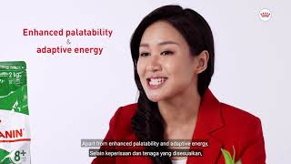 Royal Canin Mini Adult and Mini Adult 8 