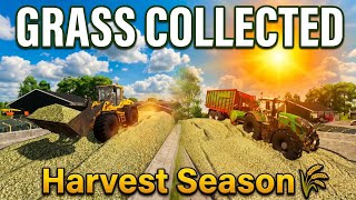 Harvest Season Has Begun/Grass Collecting In July Sun | Rottumer Island | Fs25 | Ps5