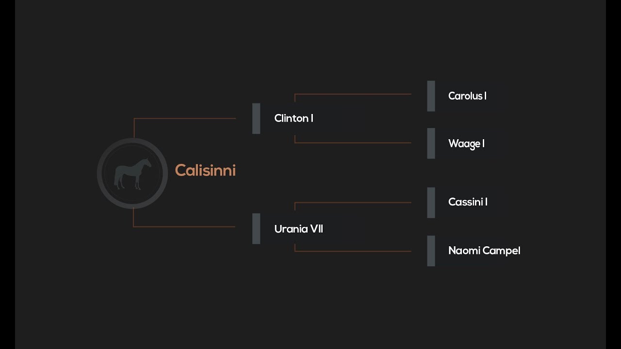 CALISINNI (Clinton I x Cassini I) - Catalogue Number 1