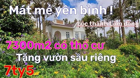 Ước mơ nhiều người! Chủ tiếc nuối bán nhà vườn villa ở lâm đồng phù hợp nghỉ dưỡng ai thấy củng mê.