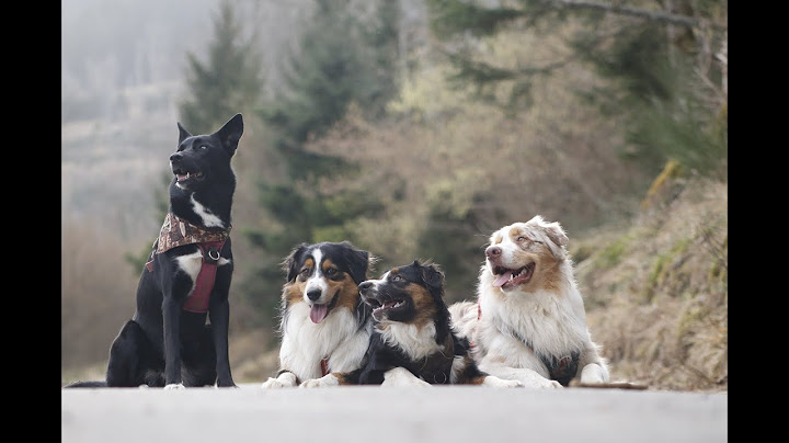 nos premières vacances avec les copains à la montagne !